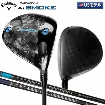 パラダイム アイアンセット レディース